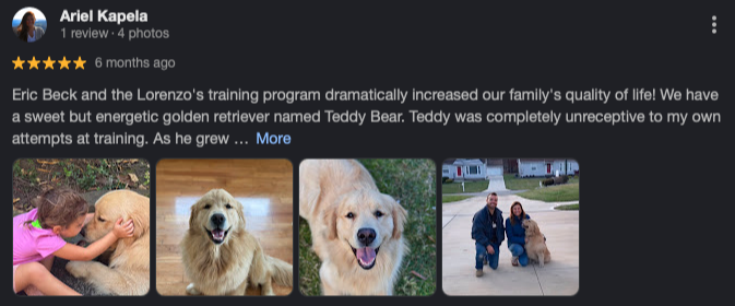Google review screenshot from Ariel Kapela: Teddy Bear's training results