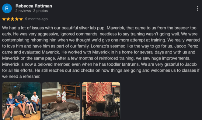 Google review screenshot from Rebecca Rottman: Huge improvements with Maverick
