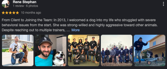 Google review screenshot from Rene Stephan: From client to joining the team